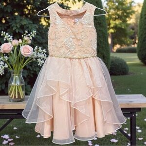 Rare Editions Girls Blush Floral Embroidered Formal Dress Size 10